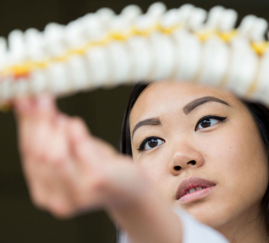 New York Chiropractic College