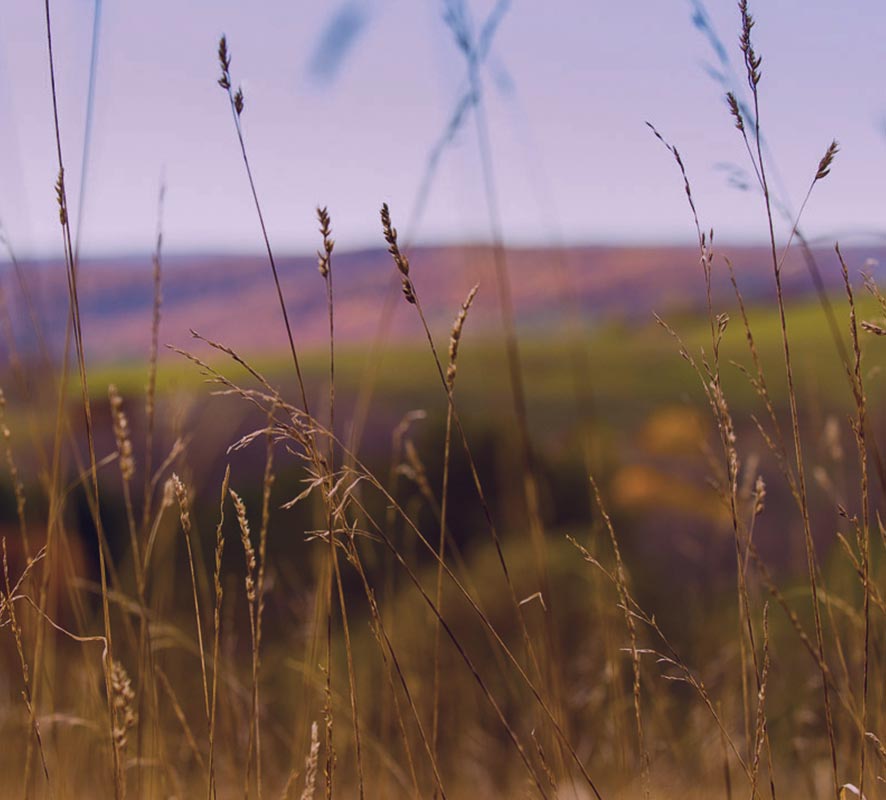 West Penn Power Sustainable Energy Fund